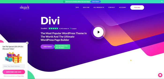 Divi WP theme